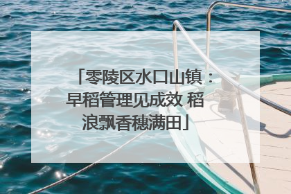 零陵区水口山镇：早稻管理见成效 稻浪飘香穗满田