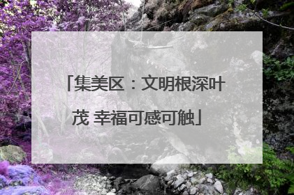 集美区：文明根深叶茂 幸福可感可触