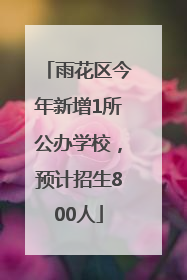 雨花区今年新增1所公办学校，预计招生800人