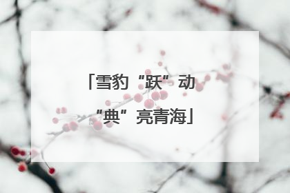 雪豹“跃”动 “典”亮青海