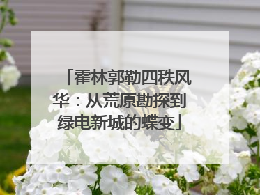 霍林郭勒四秩风华：从荒原勘探到绿电新城的蝶变