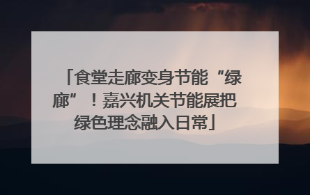 食堂走廊变身节能“绿廊”！嘉兴机关节能展把绿色理念融入日常