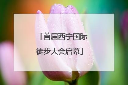 首届西宁国际徒步大会启幕