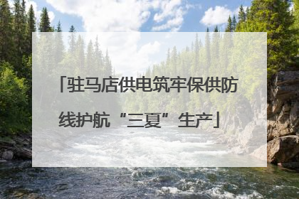 驻马店供电筑牢保供防线护航“三夏”生产