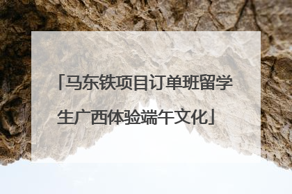 马东铁项目订单班留学生广西体验端午文化