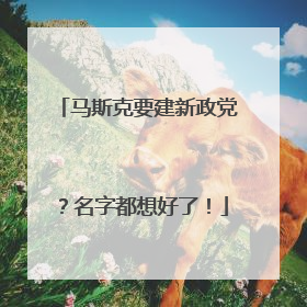 马斯克要建新政党？名字都想好了！