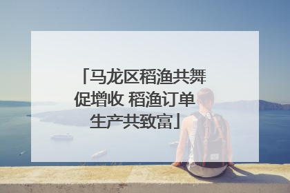 马龙区稻渔共舞促增收 稻渔订单生产共致富