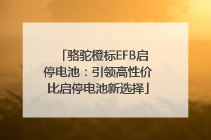 骆驼橙标EFB启停电池：引领高性价比启停电池新选择