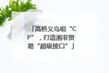 高桥义乌组“CP”，打造湘非贸易“超级接口”