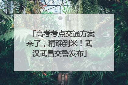 高考考点交通方案来了，精确到米！武汉武昌交警发布