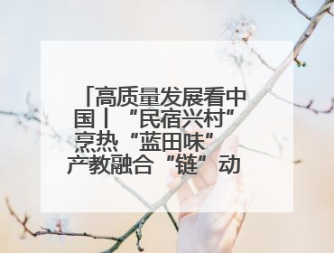 高质量发展看中国丨“民宿兴村”烹热“蓝田味” 产教融合“链”动发展新引擎