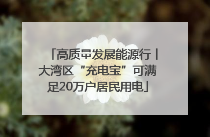 高质量发展能源行丨大湾区“充电宝”可满足20万户居民用电