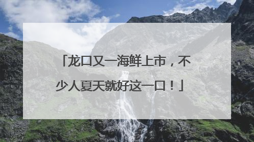 龙口又一海鲜上市，不少人夏天就好这一口！