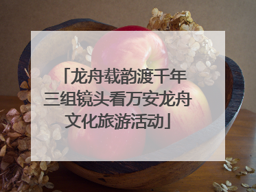 龙舟载韵渡千年 三组镜头看万安龙舟文化旅游活动