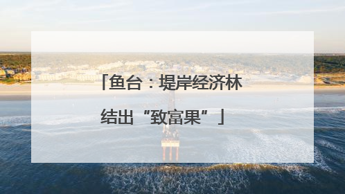 鱼台：堤岸经济林结出“致富果”