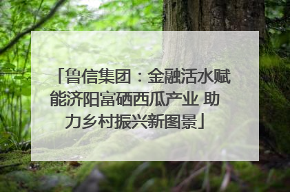 鲁信集团：金融活水赋能济阳富硒西瓜产业 助力乡村振兴新图景