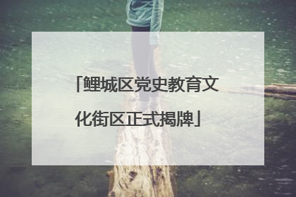 鲤城区党史教育文化街区正式揭牌