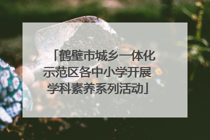 鹤壁市城乡一体化示范区各中小学开展学科素养系列活动