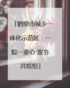鹤壁市城乡一体化示范区：一粽一童心 双节共缤纷
