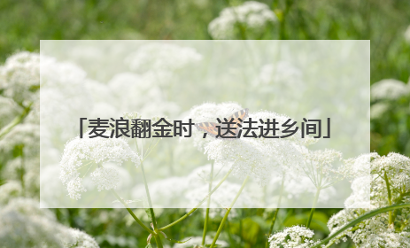 麦浪翻金时，送法进乡间