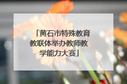 黄石市特殊教育教联体举办教师教学能力大赛