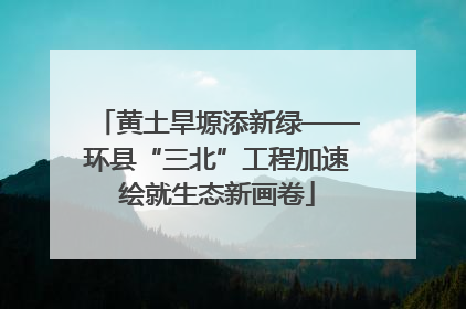 黄土旱塬添新绿——环县“三北”工程加速绘就生态新画卷