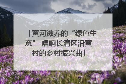 黄河滋养的“绿色生意” 唱响长清区沿黄村的乡村振兴曲