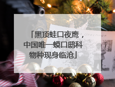黑顶蛙口夜鹰，中国唯一蟆口鸱科物种现身临沧