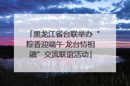 黑龙江省台联举办“粽香迎端午·龙台情相融”交流联谊活动