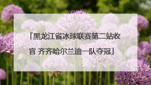 黑龙江省冰球联赛第二站收官 齐齐哈尔兰迪一队夺冠