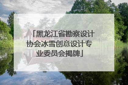 黑龙江省勘察设计协会冰雪创意设计专业委员会揭牌