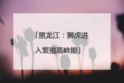 黑龙江：狮虎进入繁殖高峰期