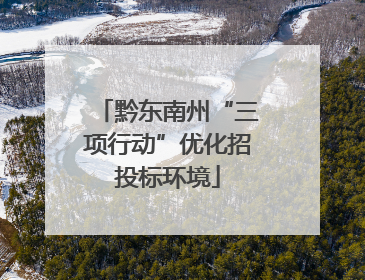 黔东南州“三项行动”优化招投标环境