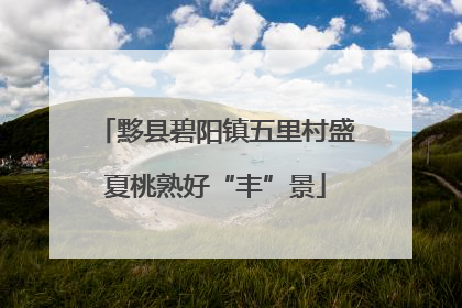 黟县碧阳镇五里村盛夏桃熟好“丰”景