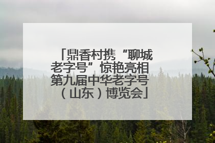 鼎香村携“聊城老字号”惊艳亮相第九届中华老字号（山东）博览会