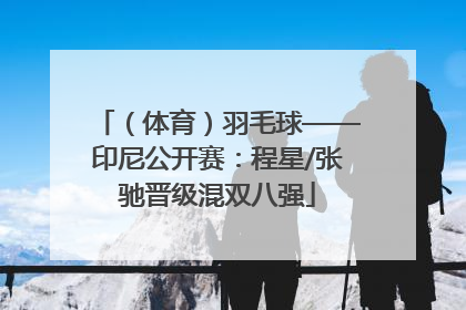 （体育）羽毛球——印尼公开赛：程星/张驰晋级混双八强