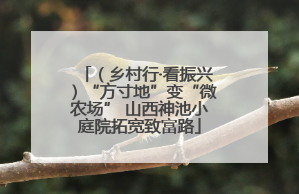 （乡村行·看振兴）“方寸地”变“微农场” 山西神池小庭院拓宽致富路