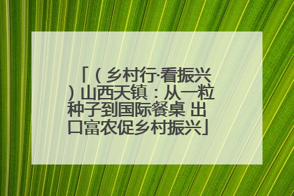 （乡村行·看振兴）山西天镇：从一粒种子到国际餐桌 出口富农促乡村振兴