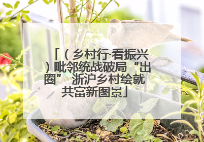 （乡村行·看振兴）毗邻统战破局“出圈” 浙沪乡村绘就共富新图景