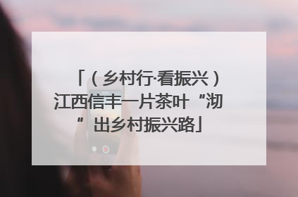 （乡村行·看振兴）江西信丰一片茶叶“沏”出乡村振兴路