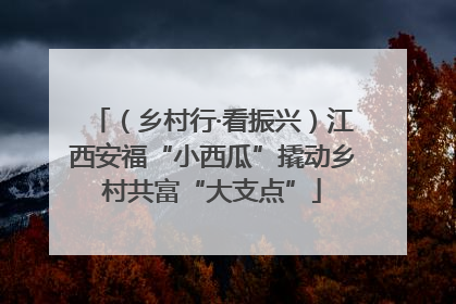 （乡村行·看振兴）江西安福“小西瓜”撬动乡村共富“大支点”