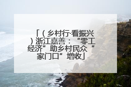 （乡村行·看振兴）浙江嘉善：“零工经济”助乡村民众“家门口”增收
