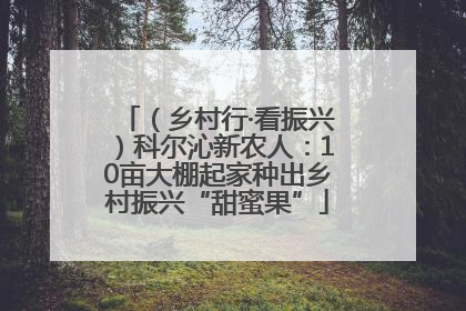 （乡村行·看振兴）科尔沁新农人：10亩大棚起家种出乡村振兴“甜蜜果”