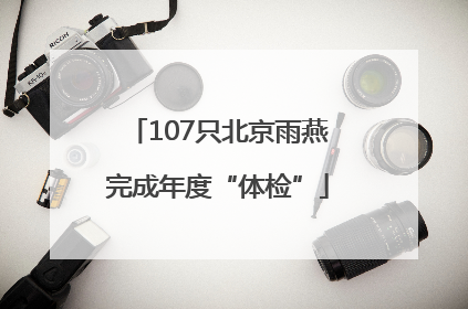 107只北京雨燕完成年度“体检”