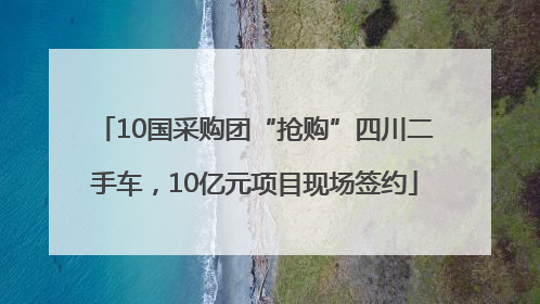 10国采购团“抢购”四川二手车，10亿元项目现场签约