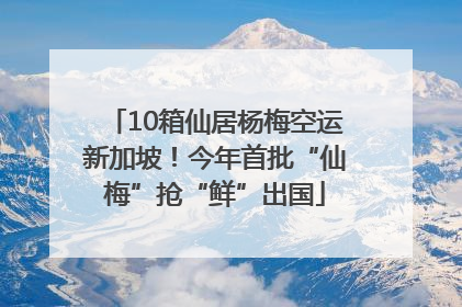 10箱仙居杨梅空运新加坡！今年首批“仙梅”抢“鲜”出国