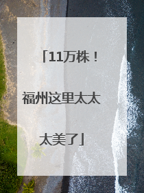 11万株！福州这里太太太美了