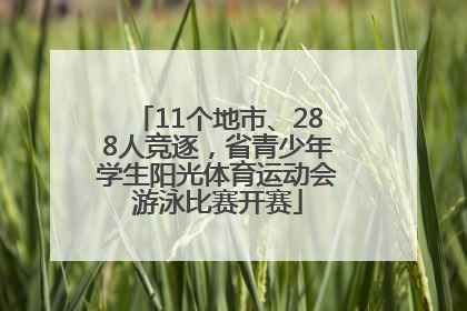 11个地市、288人竞逐，省青少年学生阳光体育运动会游泳比赛开赛