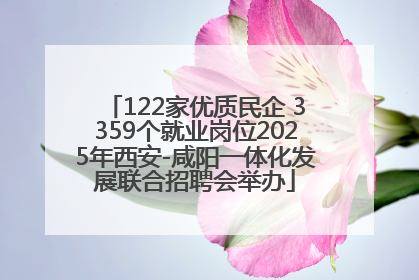 122家优质民企 3359个就业岗位2025年西安-咸阳一体化发展联合招聘会举办