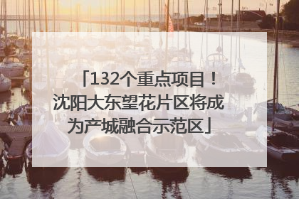 132个重点项目！沈阳大东望花片区将成为产城融合示范区